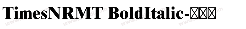 TimesNRMT BoldItalic字体转换